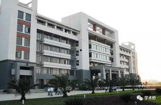 广西师范大学网红吃瓜,校园风云背后的美食故事