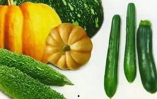 济宁网红吃瓜群微信,揭秘网络社交圈的趣味与热议