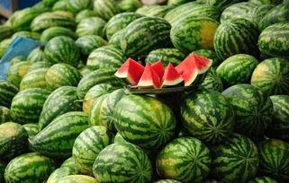 晋江网红吃瓜事件真相,揭秘背后真相与争议