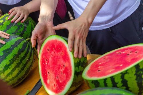 吉林大学网红吃瓜,揭秘校园美食背后的故事