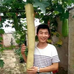 吃瓜网云南小伙女朋友,云南小伙与女朋友的甜蜜瓜事