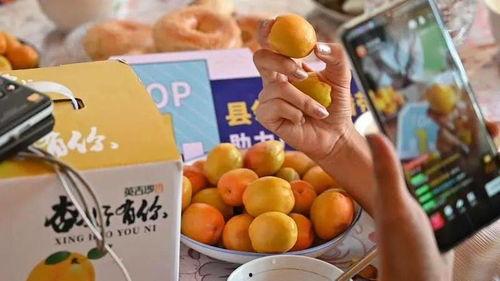 新疆网红吃瓜事件后续