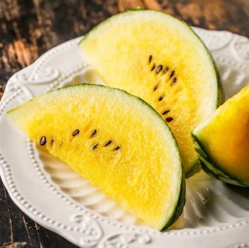 吃瓜视频精品网红