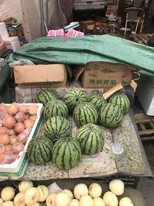 郑州吃瓜中心网站官网,揭秘郑州美食地图，尽享地方特色佳肴