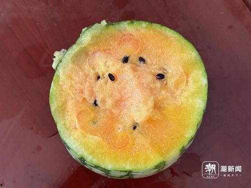 出吃瓜网,出吃瓜网带你领略明星幕后故事